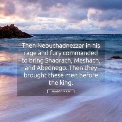 Picture 05 - Daniel 3:13 KJV - Then Nebuchadnezzar in his rage and fury - Bible Verse Picture