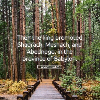 Picture 05 - Daniel 3:30 KJV - Then the king promoted Shadrach, Meshach, and - Bible Verse Picture