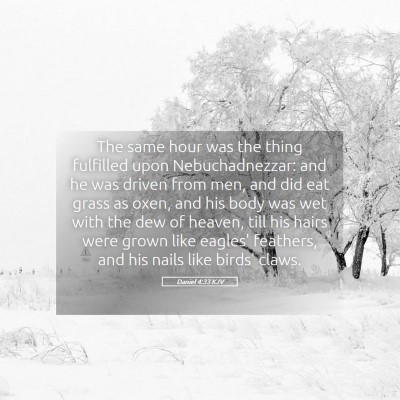 Picture 05 - Daniel 4:33 KJV - The same hour was the thing fulfilled upon - Bible Verse Picture
