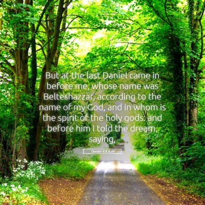 Picture 05 - Daniel 4:8 KJV - But at the last Daniel came in before me, whose - Bible Verse Picture