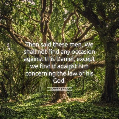 Picture 05 - Daniel 6:5 KJV - Then said these men, We shall not find any - Bible Verse Picture