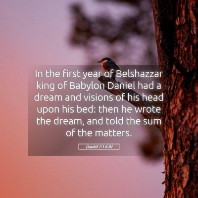Picture 05 - Daniel 7:1 KJV - In the first year of Belshazzar king of Babylon - Bible Verse Picture