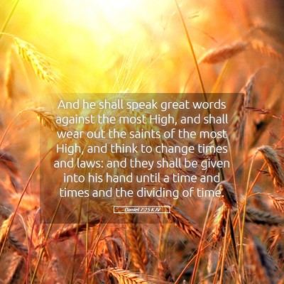 Picture 05 - Daniel 7:25 KJV - And he shall speak great words against the most - Bible Verse Picture