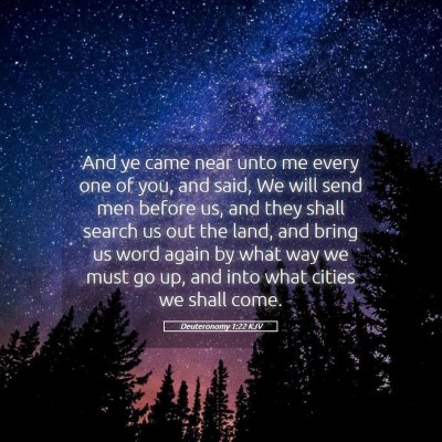 Picture 05 - Deuteronomy 1:22 KJV - And ye came near unto me every one of you, and - Bible Verse Picture