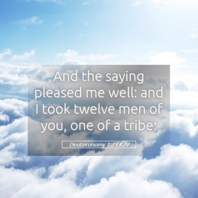 Picture 05 - Deuteronomy 1:23 KJV - And the saying pleased me well: and I took twelve - Bible Verse Picture
