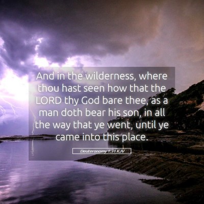 Picture 05 - Deuteronomy 1:31 KJV - And in the wilderness, where thou hast seen how - Bible Verse Picture