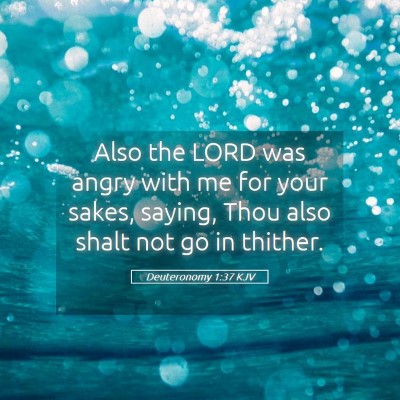 Picture 05 - Deuteronomy 1:37 KJV - Also the LORD was angry with me for your sakes, - Bible Verse Picture