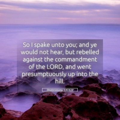 Picture 05 - Deuteronomy 1:43 KJV - So I spake unto you; and ye would not hear, but - Bible Verse Picture