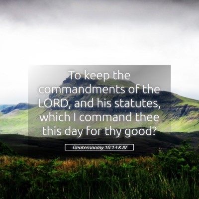 Picture 05 - Deuteronomy 10:13 KJV - To keep the commandments of the LORD, and his - Bible Verse Picture