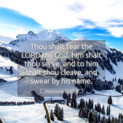 Picture 05 - Deuteronomy 10:20 KJV - Thou shalt fear the LORD thy God; him shalt thou - Bible Verse Picture