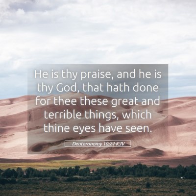 Picture 05 - Deuteronomy 10:21 KJV - He is thy praise, and he is thy God, that hath - Bible Verse Picture