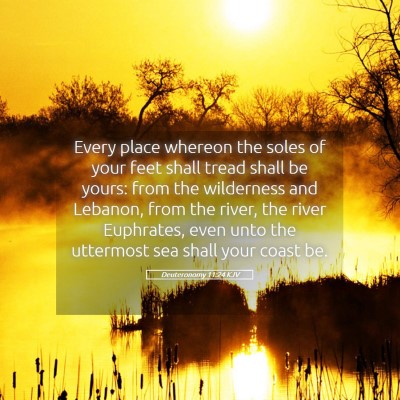 Picture 05 - Deuteronomy 11:24 KJV - Every place whereon the soles of your feet shall - Bible Verse Picture