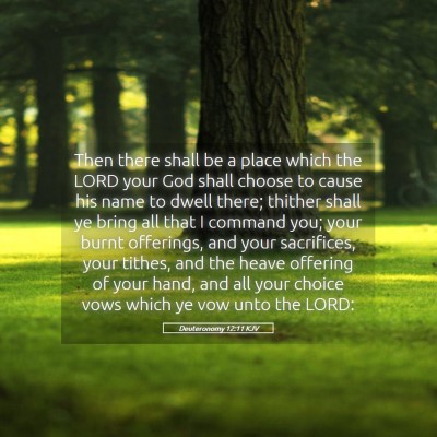 Picture 05 - Deuteronomy 12:11 KJV - Then there shall be a place which the LORD your - Bible Verse Picture