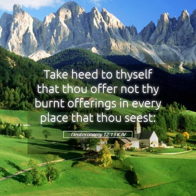 Picture 05 - Deuteronomy 12:13 KJV - Take heed to thyself that thou offer not thy - Bible Verse Picture