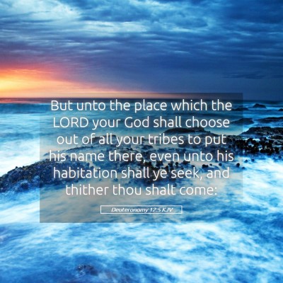 Picture 05 - Deuteronomy 12:5 KJV - But unto the place which the LORD your God shall - Bible Verse Picture