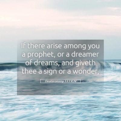 Picture 05 - Deuteronomy 13:1 KJV - If there arise among you a prophet, or a dreamer - Bible Verse Picture