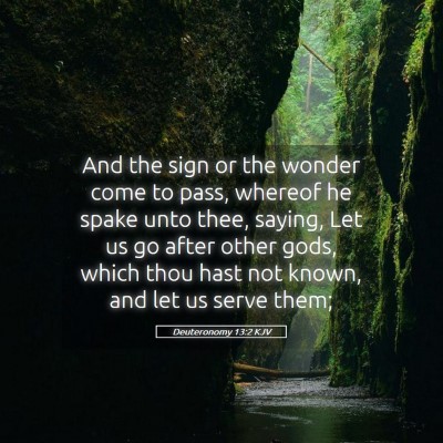 Picture 05 - Deuteronomy 13:2 KJV - And the sign or the wonder come to pass, whereof - Bible Verse Picture