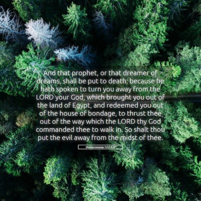 Picture 05 - Deuteronomy 13:5 KJV - And that prophet, or that dreamer of dreams, - Bible Verse Picture