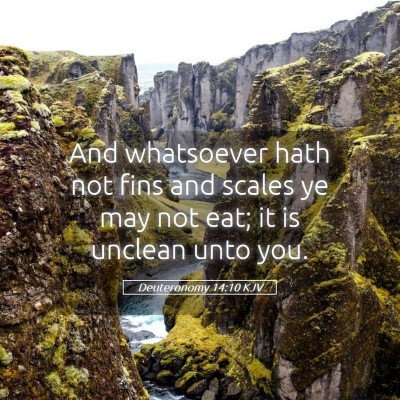 Picture 05 - Deuteronomy 14:10 KJV - And whatsoever hath not fins and scales ye may - Bible Verse Picture