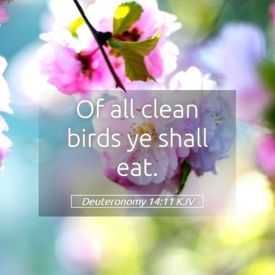 Picture 05 - Deuteronomy 14:11 KJV - Of all clean birds ye shall - Bible Verse Picture