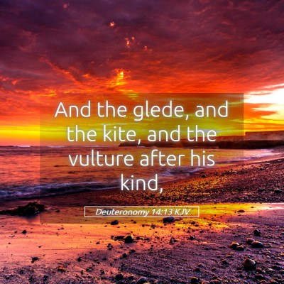 Picture 05 - Deuteronomy 14:13 KJV - And the glede, and the kite, and the vulture - Bible Verse Picture