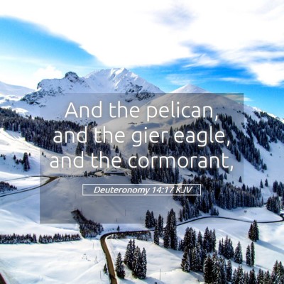 Picture 05 - Deuteronomy 14:17 KJV - And the pelican, and the gier eagle, and the - Bible Verse Picture