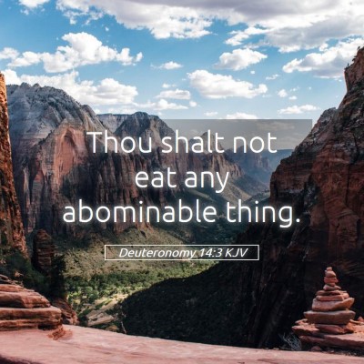 Picture 05 - Deuteronomy 14:3 KJV - Thou shalt not eat any abominable - Bible Verse Picture