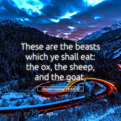 Picture 05 - Deuteronomy 14:4 KJV - These are the beasts which ye shall eat: the ox, - Bible Verse Picture