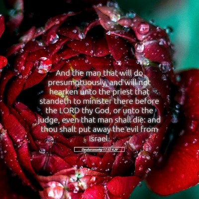 Picture 05 - Deuteronomy 17:12 KJV - And the man that will do presumptuously, and will - Bible Verse Picture