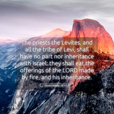 Picture 05 - Deuteronomy 18:1 KJV - The priests the Levites, and all the tribe of - Bible Verse Picture