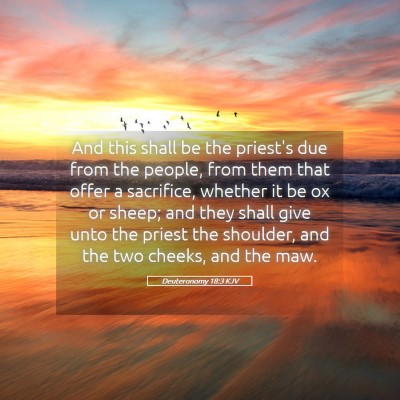 Picture 05 - Deuteronomy 18:3 KJV - And this shall be the priest's due from the - Bible Verse Picture
