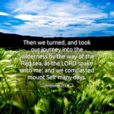 Picture 05 - Deuteronomy 2:1 KJV - Then we turned, and took our journey into the - Bible Verse Picture