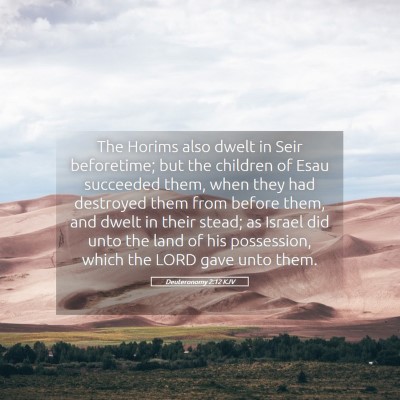Picture 05 - Deuteronomy 2:12 KJV - The Horims also dwelt in Seir beforetime; but the - Bible Verse Picture