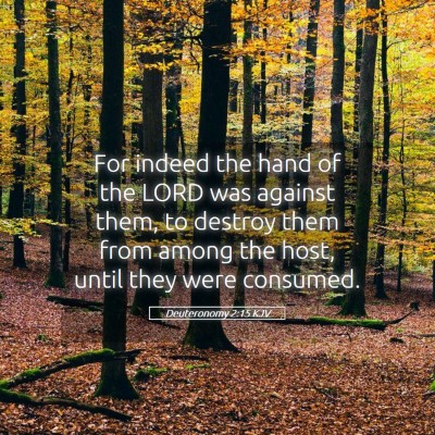 Picture 05 - Deuteronomy 2:15 KJV - For indeed the hand of the LORD was against them, - Bible Verse Picture