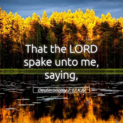 Picture 05 - Deuteronomy 2:17 KJV - That the LORD spake unto me, - Bible Verse Picture