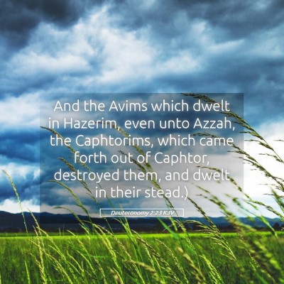 Picture 05 - Deuteronomy 2:23 KJV - And the Avims which dwelt in Hazerim, even unto - Bible Verse Picture