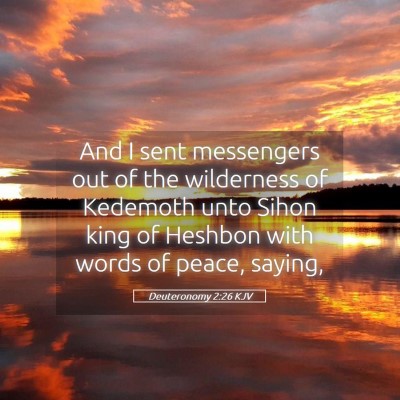 Picture 05 - Deuteronomy 2:26 KJV - And I sent messengers out of the wilderness of - Bible Verse Picture
