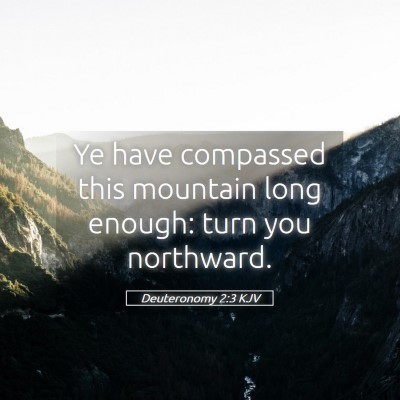 Picture 05 - Deuteronomy 2:3 KJV - Ye have compassed this mountain long enough: turn - Bible Verse Picture