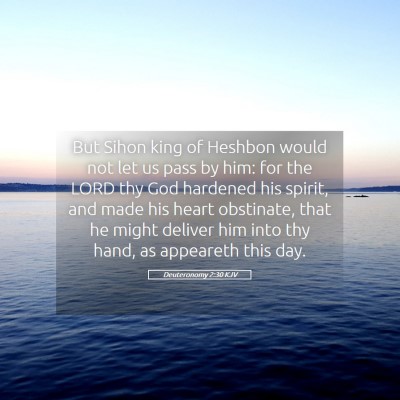 Picture 05 - Deuteronomy 2:30 KJV - But Sihon king of Heshbon would not let us pass - Bible Verse Picture