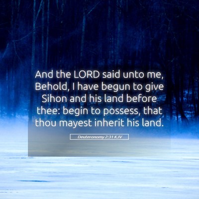 Picture 05 - Deuteronomy 2:31 KJV - And the LORD said unto me, Behold, I have begun - Bible Verse Picture