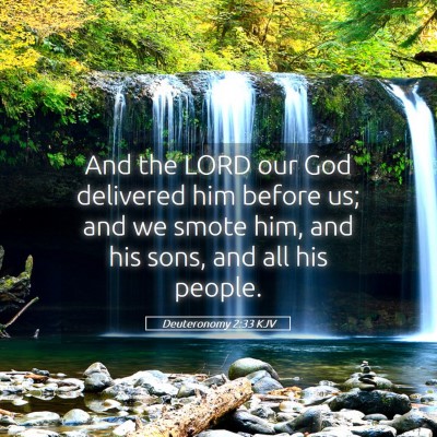 Picture 05 - Deuteronomy 2:33 KJV - And the LORD our God delivered him before us; and - Bible Verse Picture