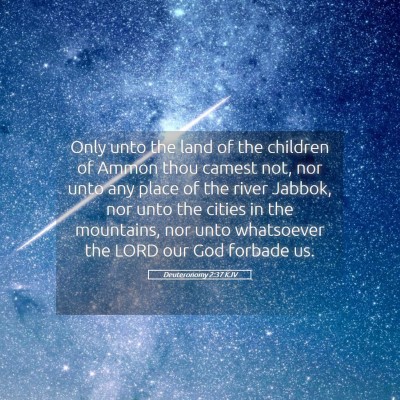 Picture 05 - Deuteronomy 2:37 KJV - Only unto the land of the children of Ammon thou - Bible Verse Picture