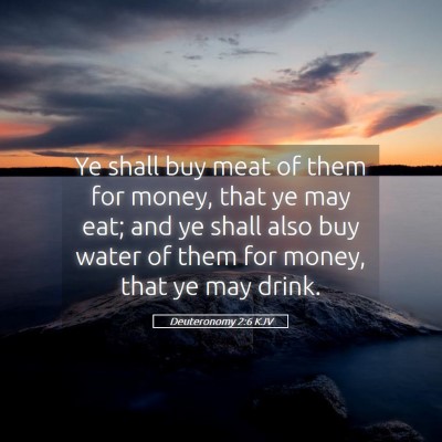 Picture 05 - Deuteronomy 2:6 KJV - Ye shall buy meat of them for money, that ye may - Bible Verse Picture