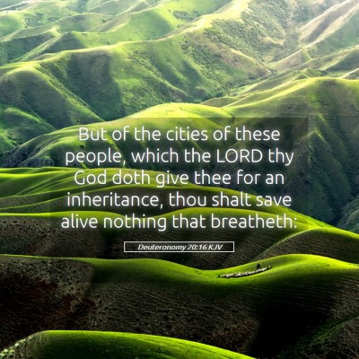 Picture 05 - Deuteronomy 20:16 KJV - But of the cities of these people, which the LORD - Bible Verse Picture