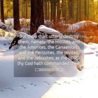Picture 05 - Deuteronomy 20:17 KJV - But thou shalt utterly destroy them; namely, the - Bible Verse Picture