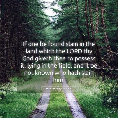 Picture 05 - Deuteronomy 21:1 KJV - If one be found slain in the land which the LORD - Bible Verse Picture