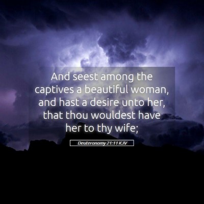 Picture 05 - Deuteronomy 21:11 KJV - And seest among the captives a beautiful woman, - Bible Verse Picture