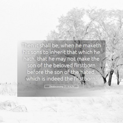 Picture 05 - Deuteronomy 21:16 KJV - Then it shall be, when he maketh his sons to - Bible Verse Picture