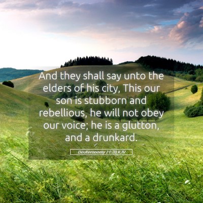Picture 05 - Deuteronomy 21:20 KJV - And they shall say unto the elders of his city, - Bible Verse Picture