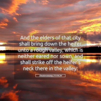 Picture 05 - Deuteronomy 21:4 KJV - And the elders of that city shall bring down the - Bible Verse Picture